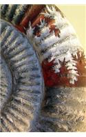 Notebook Ammonite Stone Fossil