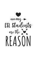 My ESL Students Are The Reason