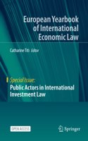 Public Actors in International Investment Law