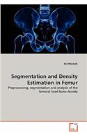 Segmentation and Density Estimation in Femur