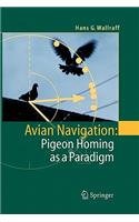 Avian Navigation: Pigeon Homing as a Paradigm