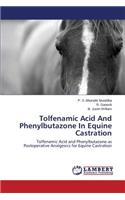 Tolfenamic Acid and Phenylbutazone in Equine Castration