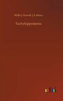 Tachyhippodamia