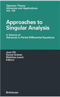 Approaches to Singular Analysis