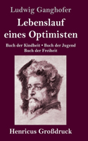 Lebenslauf eines Optimisten (Großdruck)