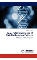 Epigenetic Inheritance of DNA Methylation Patterns