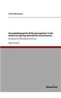 Sexualpädagogische Bildungsangebote in der Arbeit mit geistig behinderten Erwachsenen