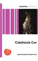 Catahoula Cur