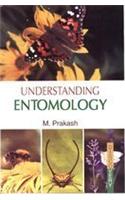 Understanding Entomology