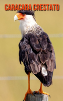 Caracara crestato