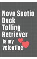 Nova Scotia Duck Tolling Retriever is my valentine
