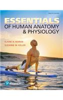 Essentials of Human Anatomy & Physiology Plus Mastering A&p with Pearson Etext -- Access Card Package