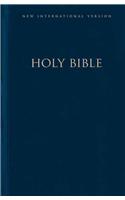 NIV Worship Bible