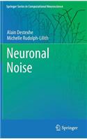 Neuronal Noise