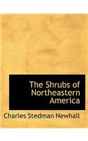 The Shrubs of Northeastern America