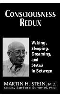 Consciousness Redux