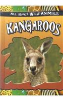 Kangaroos