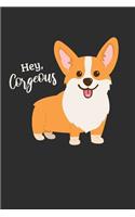 Hey Corgeous