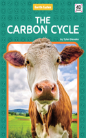 Carbon Cycle