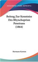 Beitrag Zur Kenntniss Des Rhynchoprion Penetrans (1864)