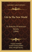 Life In The New World