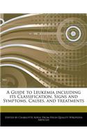 A Guide to Leukemia Including Its Classification, Signs and Symptoms, Causes, and Treatments