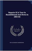 Reports Of A Tour In Bundelkhand And Rewa In 1883-84