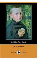 Little Boy Lost (Dodo Press)