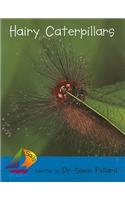 Rus Caterpillars- Sails Early 3 N: Leveled Reader(Sails Literacy: Early (3))