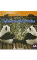 Patterns with Pandas