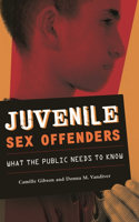 Juvenile Sex Offenders