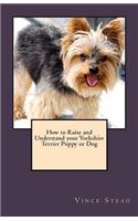 How to Raise and Understand Your Yorkshire Terrier Puppy or Dog