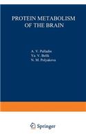 Protein Metabolism of the Brain