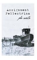 Assignment Pellestrina