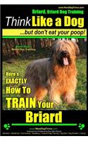 Briard, Briard Dog Training - Think Like a Dog But Don't Eat Your Poop! - Breed Expert Briard Dog Training -