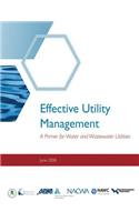 Effective Utility Management: A Primer for Water and Wastewater Utilities