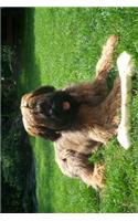 The Briard Dog Journal: 150 page lined notebook/diary