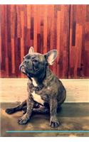 French Bulldog Affirmations Workbook French Bulldog Presents