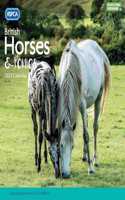 British Horses & Ponies, RSPCA Square Wall Calendar 2023