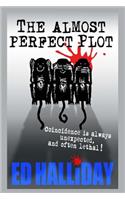 Almost Perfect plot: Large print version