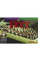 Look Once Look Again Animal Feet