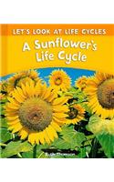 Sunflower's Life Cycle