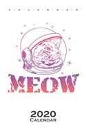 astronaut cat Calendar 2020