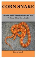 Corn Snake: The Best Guide On Everything You Need To Know About Corn Snake