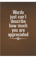 Words just can't describe how much you are appreciated