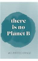 There is no Planet B