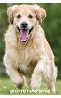 Golden Retriever Journal