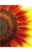 Flower Notebook Large Size 8.5 x 11 Ruled 150 Pages Softcover