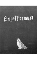 Expelliarmus!: 7.44 X 9.69 Wide Ruled Paper Notebook, Birthday, Christmas, Back to School, Quote Journal or Diary Unique Inspirational Composition Book Gift for Friend, Family, Teacher, Student, Magical or Not - Black Chalkboard White Owl
