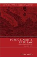 Public Liability in EU Law